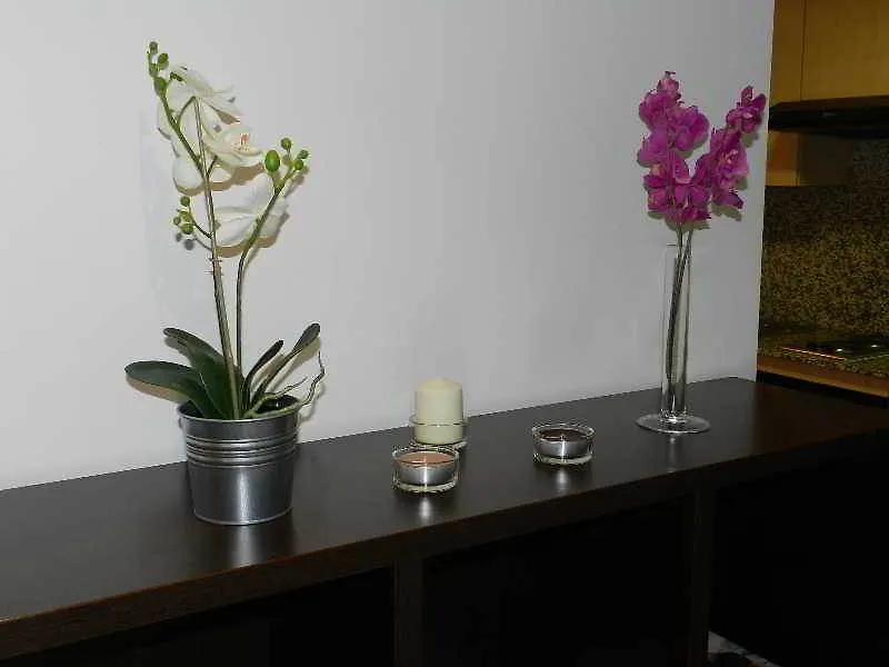 Hotel Travessera Parc Guell Barcelona